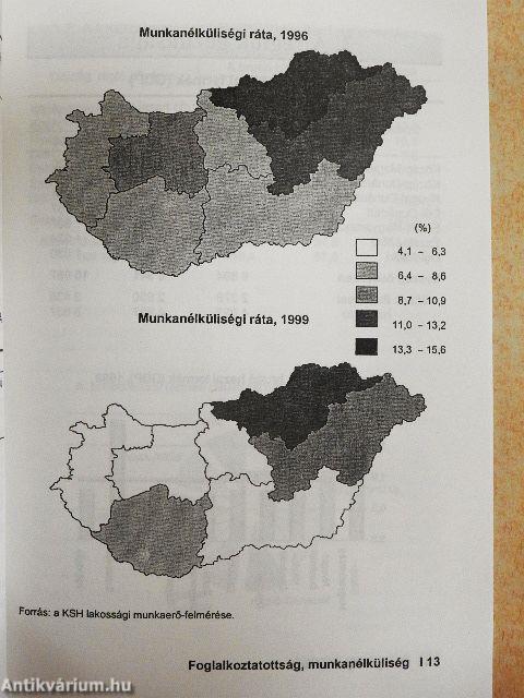 A magyar régiók zsebkönyve '99