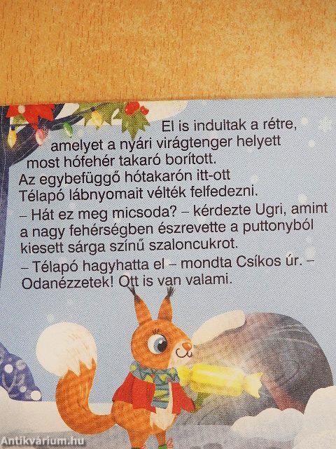 A Télapó puttonya