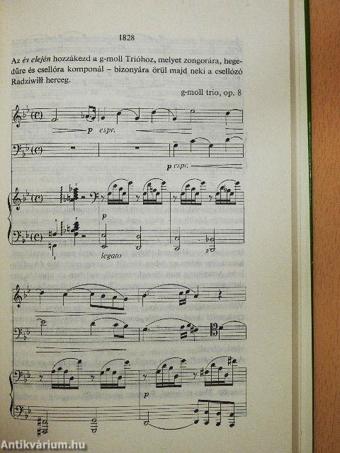 Fryderyk Chopin életének krónikája