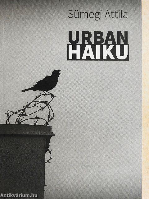 Urban haiku