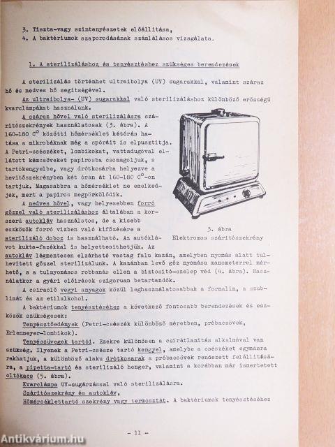 Növényrendszertani praktikum