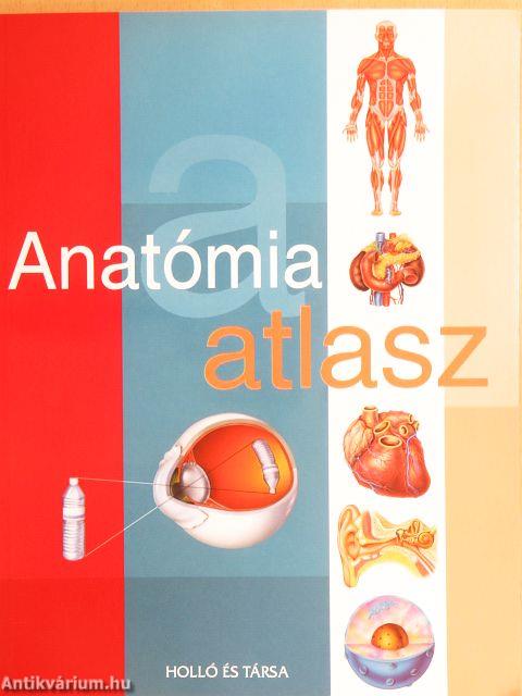Anatómia atlasz