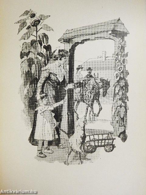 Az özvegy falu (dedikált példány)