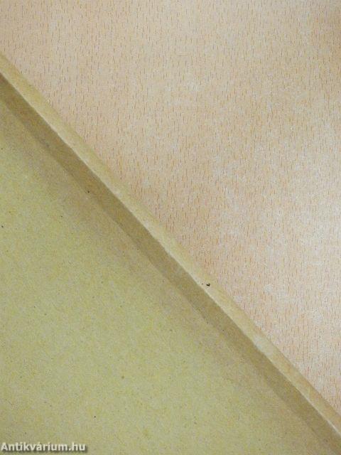 A feladatmegoldások tanításának módszertana