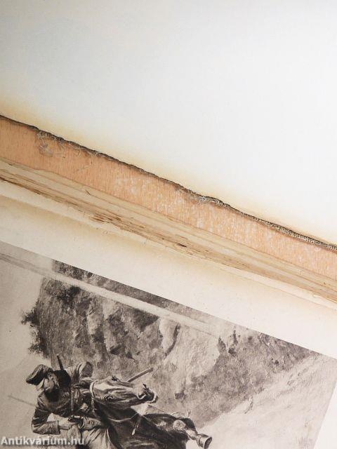 Háborus album (rossz állapotú)