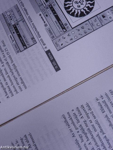 Macromedia FLASH 5