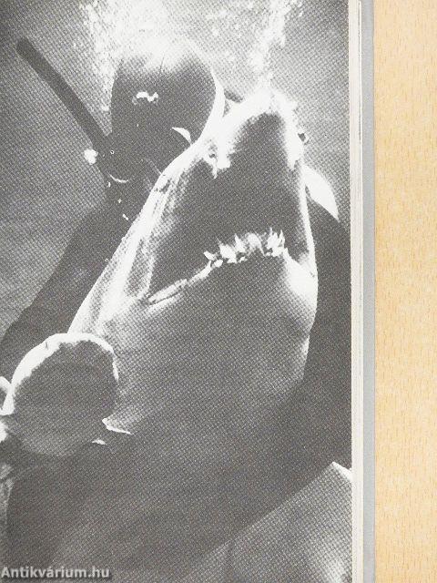 Ismeretlen ismerősök