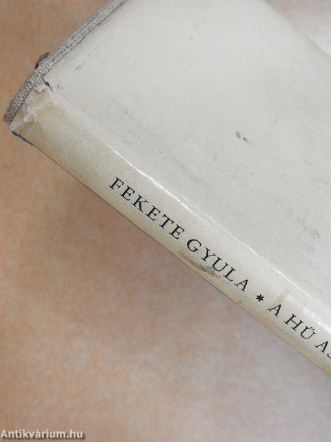 A hű asszony meg a rossz nő