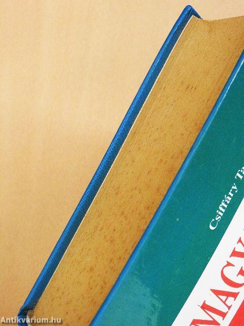 Magyar-olasz kéziszótár