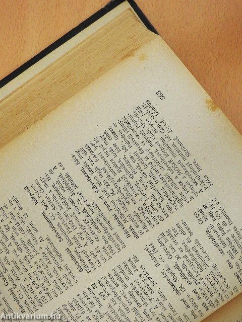 Újjáépítő magyarok