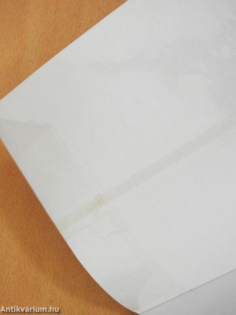 Magyar nyelv és kommunikáció - Munkafüzet a 10. évfolyam számára