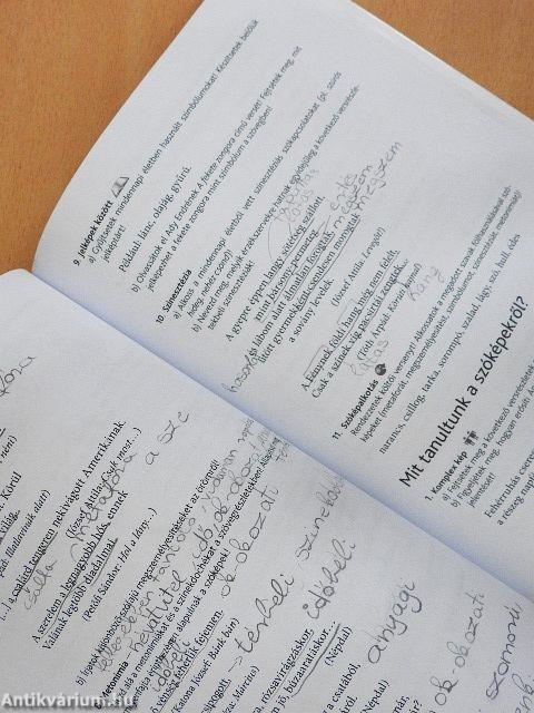 Magyar nyelv és kommunikáció - Munkafüzet a 10. évfolyam számára