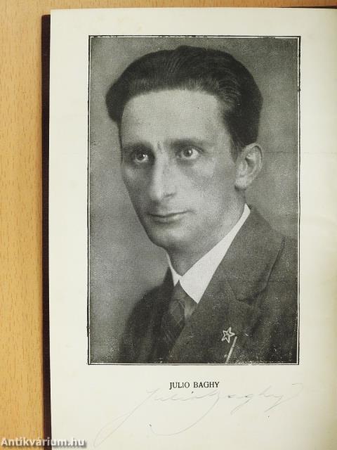 Tavasz az őszben (aláírt példány)