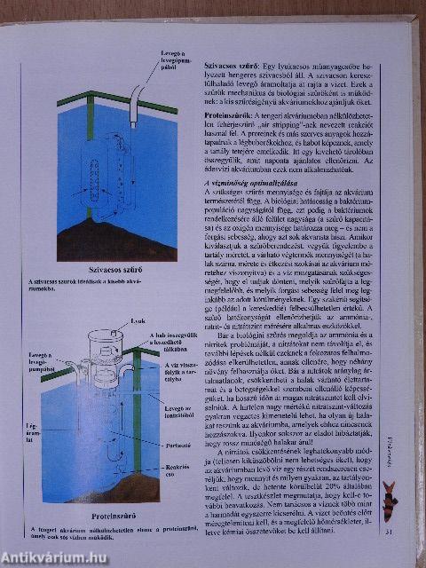 Útmutató az akváriumi halak tartásához