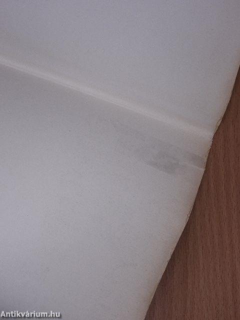 A magyar sajtó története I. 