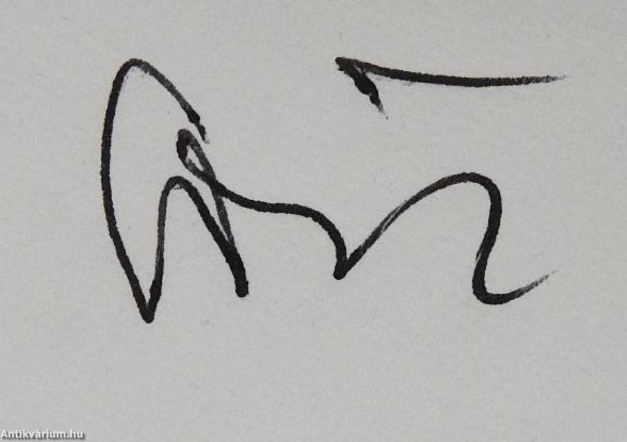 Bűvölet (dedikált példány)