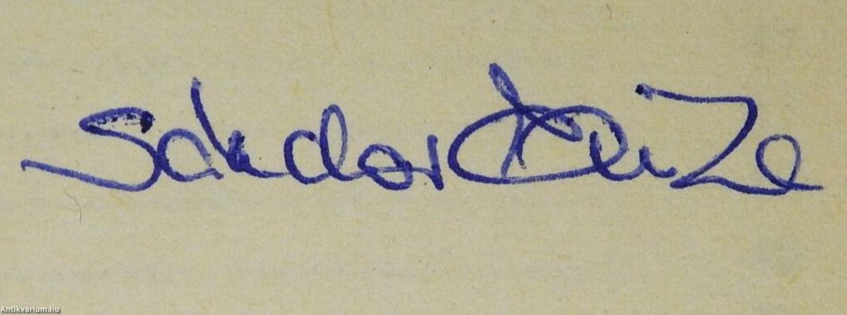 El estado y la puericultura en Hungría (dedikált példány)