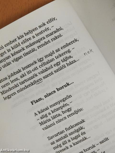 Se kenyér - se cirkusz... (dedikált példány)