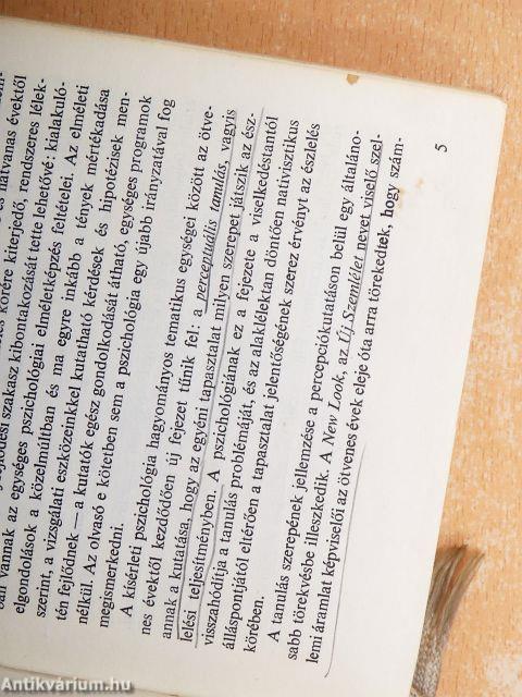 A tanulás szerepe az emberi észlelésben