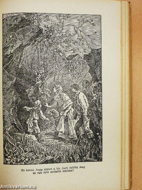 A tizenötéves kapitány