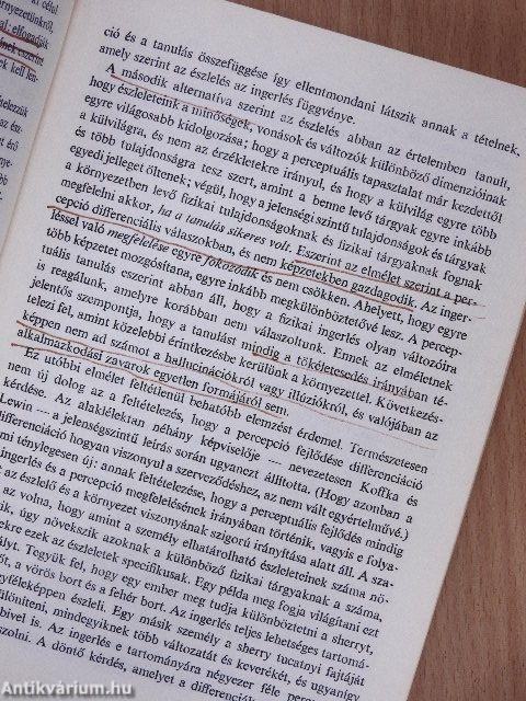 A tanulás szerepe az emberi észlelésben