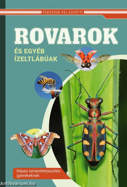 Rovarok és egyéb ízeltlábúak - Képes ismeretterjesztés gyerekeknek /Fedezzük fel együtt!