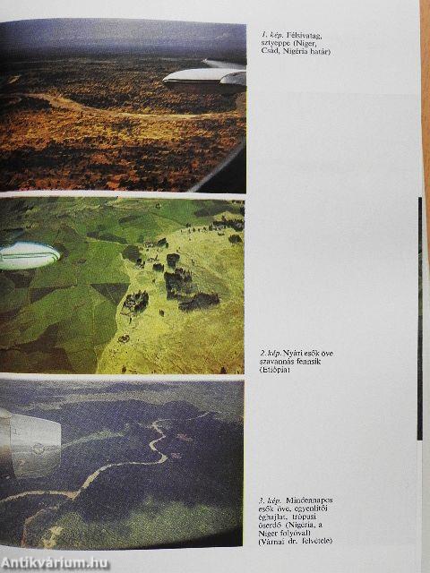 Trópusi betegségek