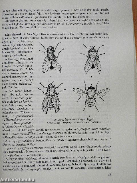 Trópusi betegségek