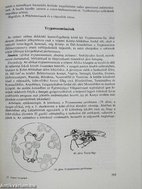 Trópusi betegségek