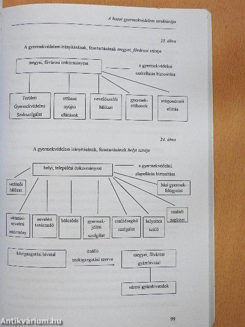 A gyermekvédelem pedagógiája