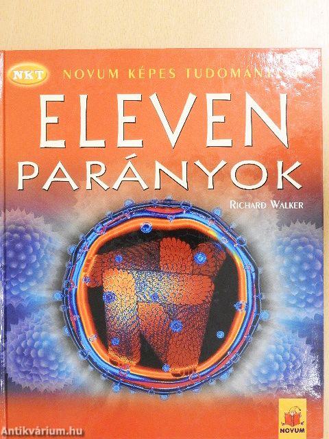 Eleven parányok