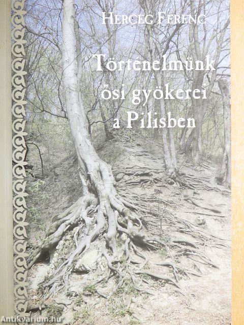 Történelmünk ősi gyökerei a Pilisben