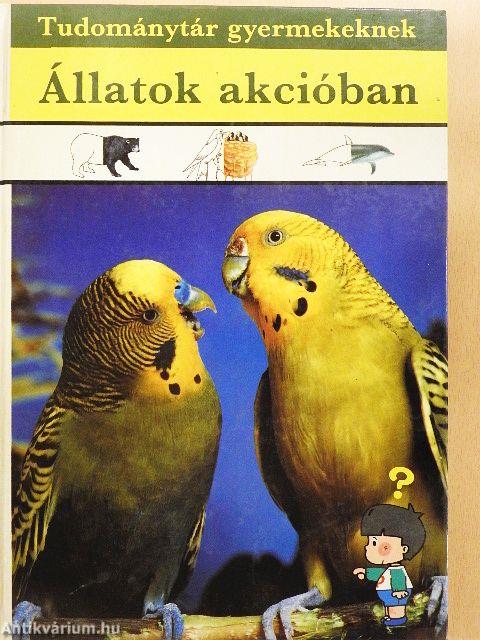 Állatok akcióban