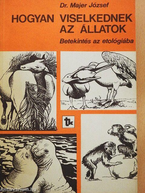 Hogyan viselkednek az állatok