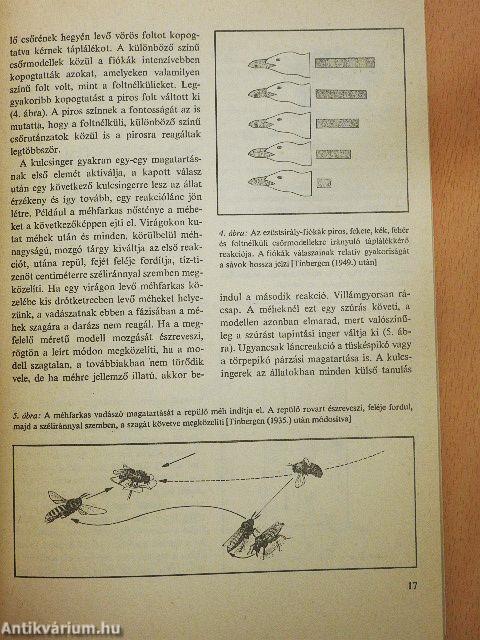 Hogyan viselkednek az állatok
