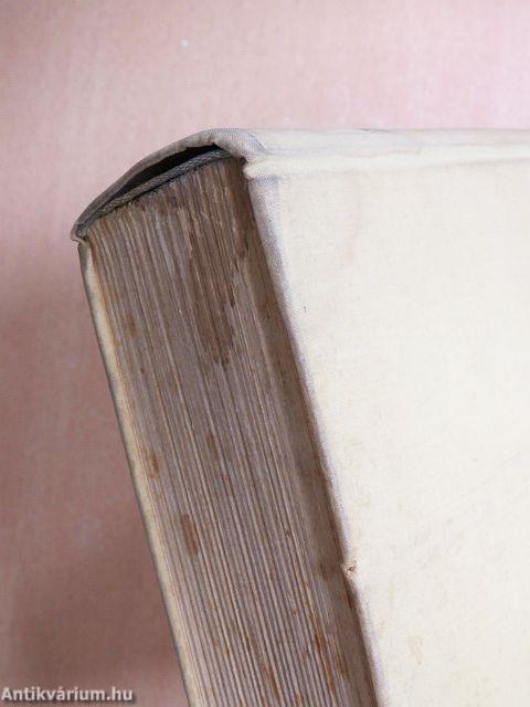 Erzsébet magyar királyné