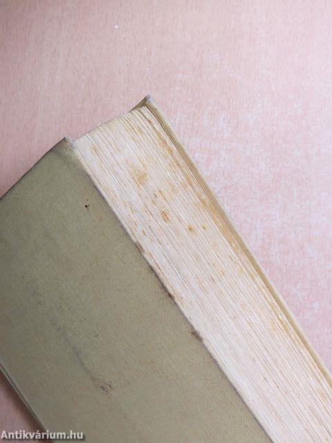 Erzsébet magyar királyné