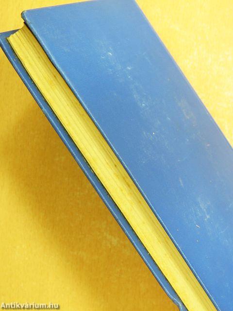 A kritikus mint művész