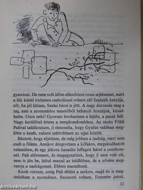 Kányadombi indiánok (dedikált példány)