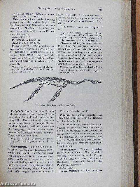 Zoologisches Wörterbuch