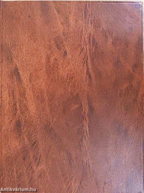 Im Lande meiner Modelle (gótbetűs)