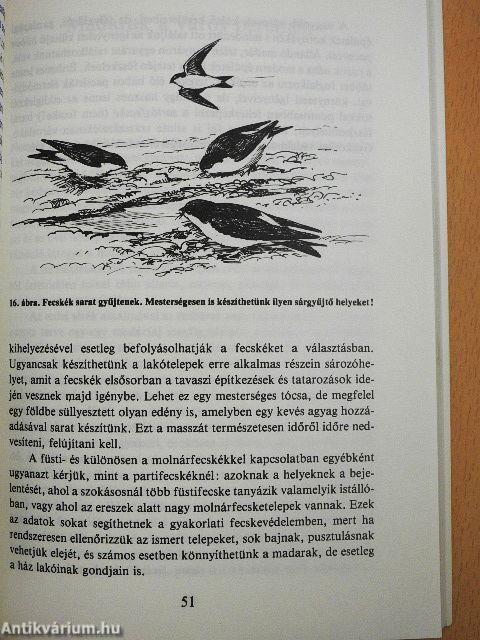 Gyakorlati madárvédelem