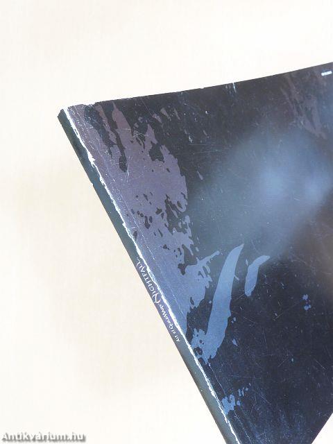 Art of Guild Wars: Nightfall