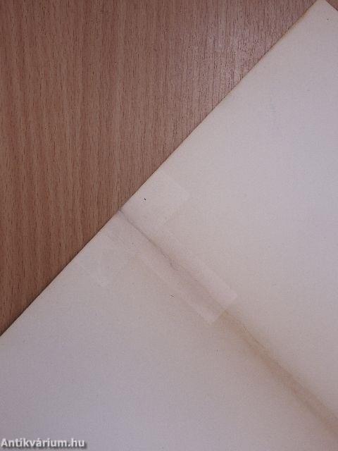 FFGH-2 Aut. Háztartási grillsütő