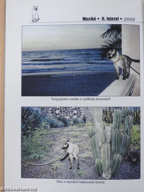 A második világjáró sziámi macska "az utód" Szentimrei Arisztid Xixi útinaplója (dedikált példány)