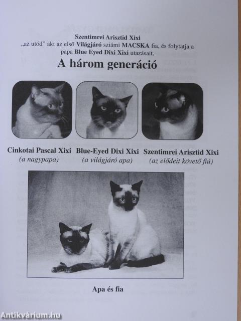 A második világjáró sziámi macska "az utód" Szentimrei Arisztid Xixi útinaplója (dedikált példány)