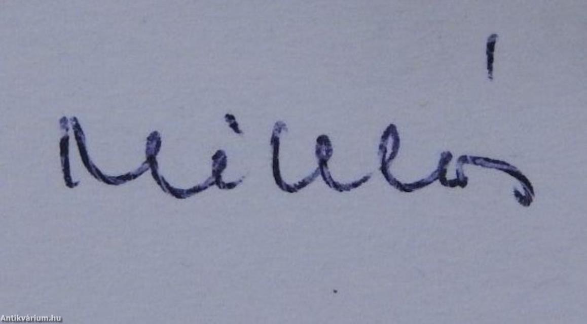 Visszfény (dedikált példány)