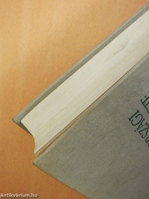 A magyarországi művészet története 1.