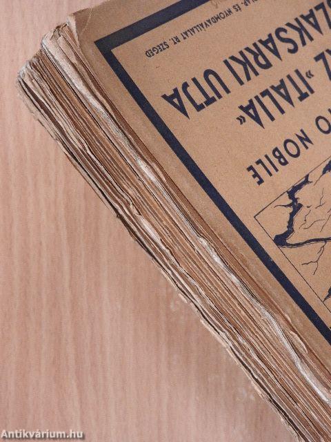 Az »Italia« északsarki utja