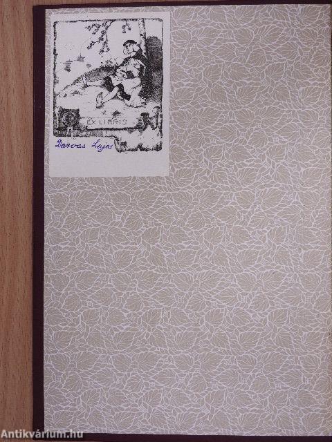 Közép-Brazilia természeti népei között